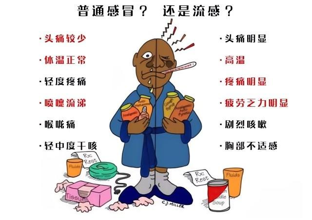 流感病毒.png