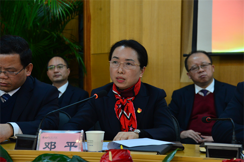 党委委员、副院长邓平作提案收集办理和分组讨论的说明.png