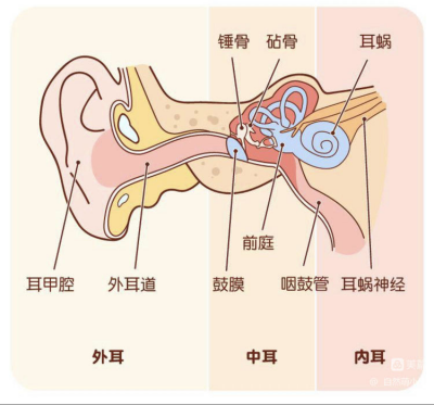 2_副本.png