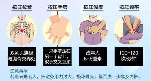 确保每次胸外按压后,胸廓回弹恢复原貌。_副本.png