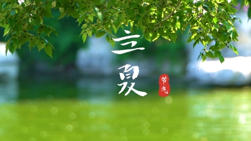 立夏_副本.jpg