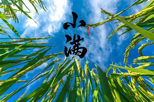 小满_副本.png