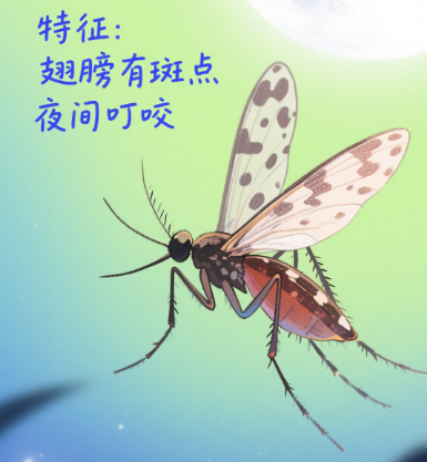 3.png